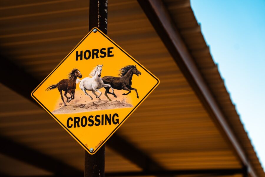 Salto de Fe horse crossing sign